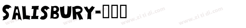 Salisbury字体转换
