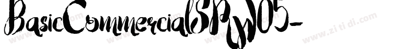 BasicCommercialSRW05字体转换
