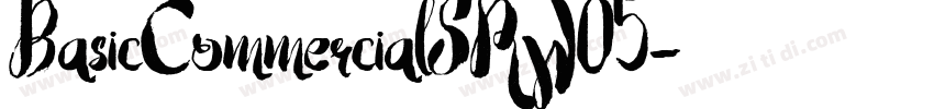 BasicCommercialSRW05字体转换