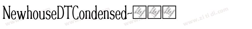 NewhouseDTCondensed字体转换