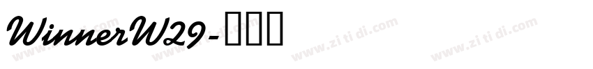 WinnerW29字体转换