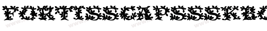 FortisSCapsSSKBold字体转换