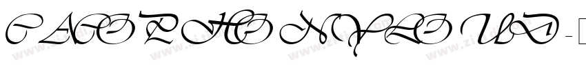 CACOPHONYLOUD字体转换