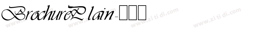 BrochurePlain字体转换