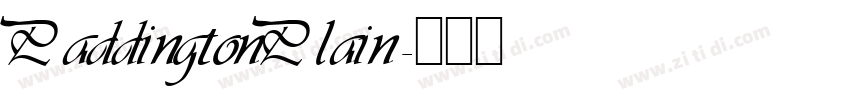 PaddingtonPlain字体转换