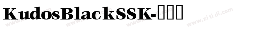 KudosBlackSSK字体转换