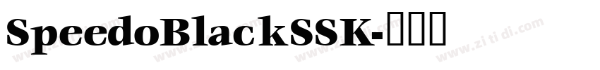 SpeedoBlackSSK字体转换