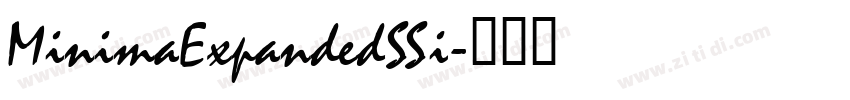 MinimaExpandedSSi字体转换