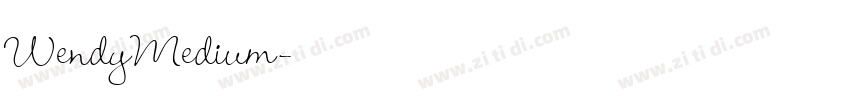 WendyMedium字体转换