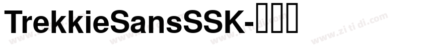 TrekkieSansSSK字体转换