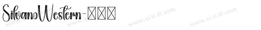 SilvanoWestern字体转换