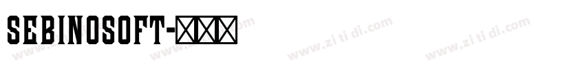 SebinoSoft字体转换