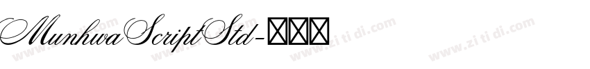 MunhwaScriptStd字体转换