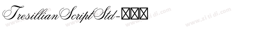 TresillianScriptStd字体转换