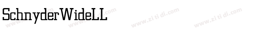 SchnyderWideLLight字体转换