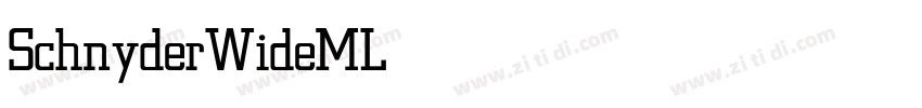 SchnyderWideMLight字体转换