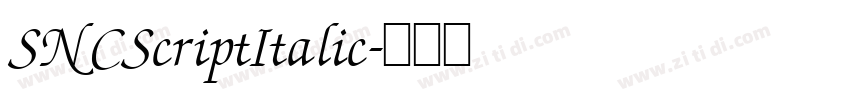 SNCScriptItalic字体转换