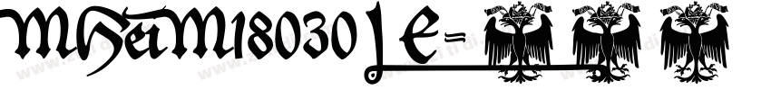 MHeiM18030_E字体转换