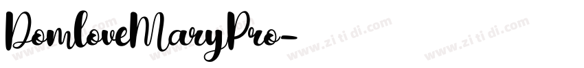 DomloveMaryPro字体转换