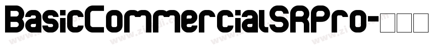 BasicCommercialSRPro字体转换