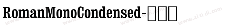 RomanMonoCondensed字体转换