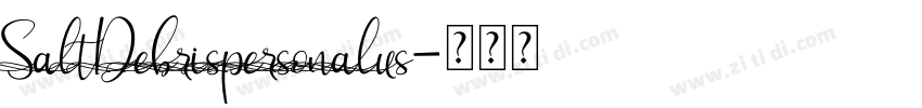 SaltDebrispersonalus字体转换