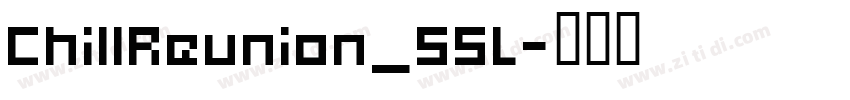 ChillReunion_55L字体转换
