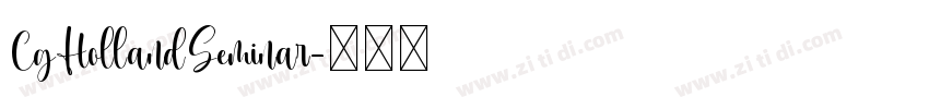 CgHollandSeminar字体转换
