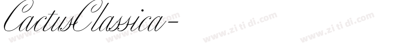 CactusClassica字体转换