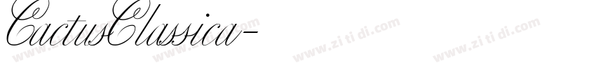 CactusClassica字体转换