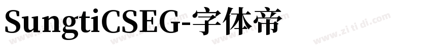 SungtiCSEG字体转换