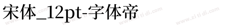 宋体_12pt字体转换