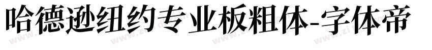 哈德逊纽约专业板粗体字体转换