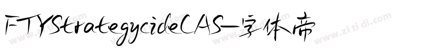FTYStrategycideCAS字体转换