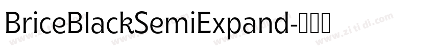 BriceBlackSemiExpand字体转换