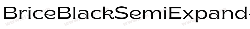 BriceBlackSemiExpand字体转换