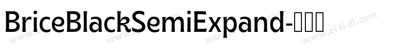 BriceBlackSemiExpand字体转换