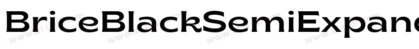 BriceBlackSemiExpand字体转换