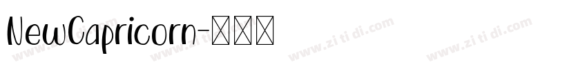 NewCapricorn字体转换
