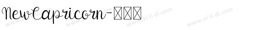 NewCapricorn字体转换