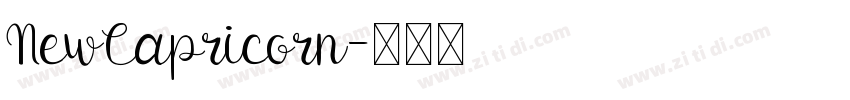 NewCapricorn字体转换