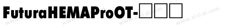 FuturaHEMAProOT字体转换
