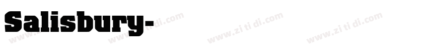 Salisbury字体转换
