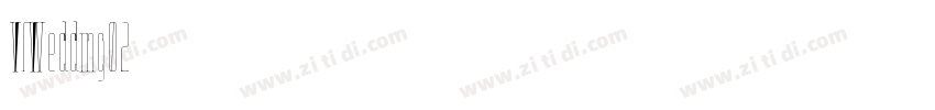 VfWedding02字体转换