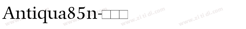 Antiqua85n字体转换