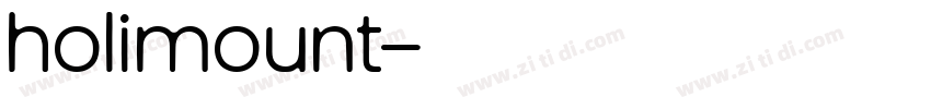 holimount字体转换