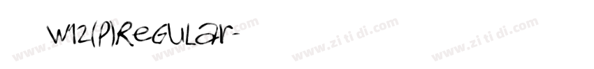 华康宋体W12(P)Regular字体转换
