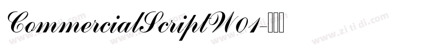 CommercialScriptW01字体转换