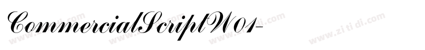 CommercialScriptW01字体转换