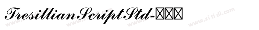 TresillianScriptStd字体转换
